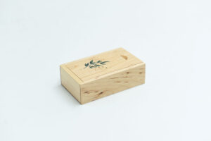 USB BOX 02